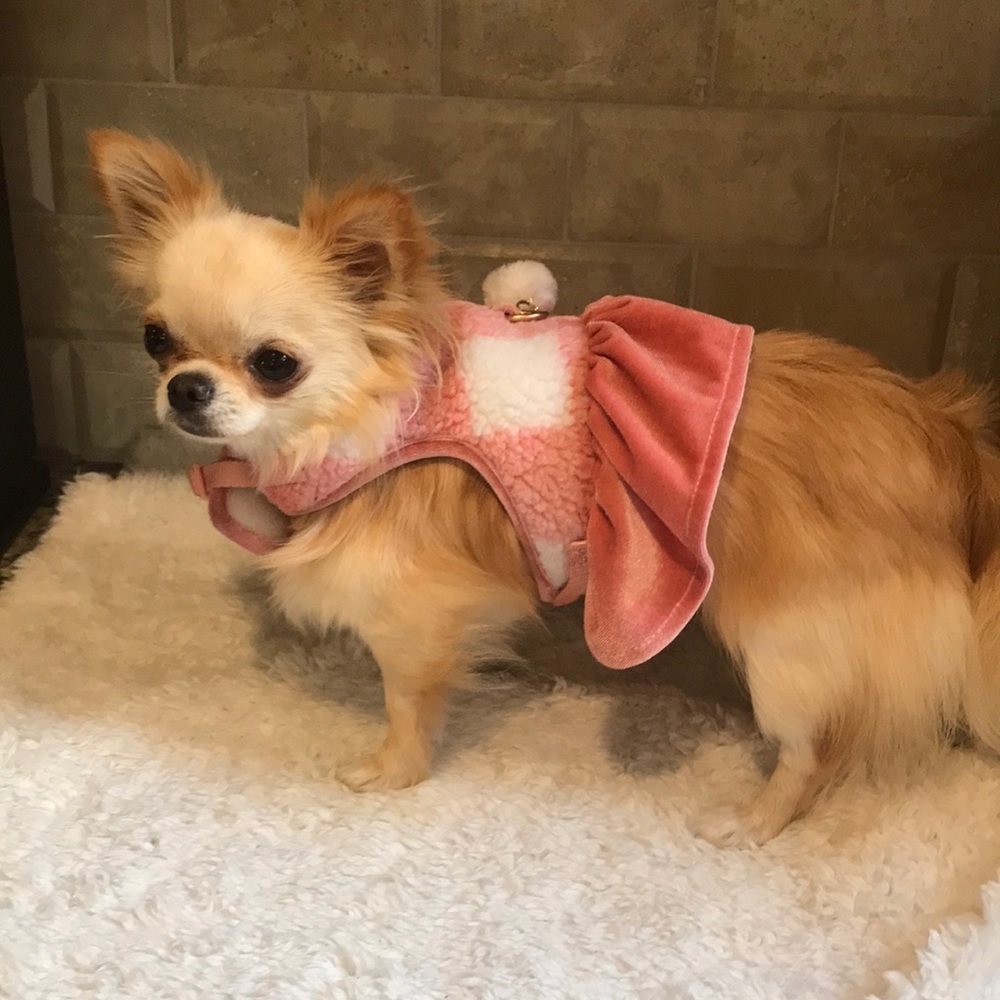 Toppaw dog harness